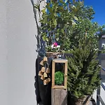 Sweet Dreams Apartament