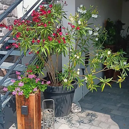 Sweet Dreams Apartamento Visé